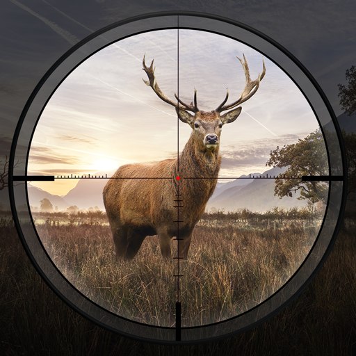 Hunting Sniper Hunting Sniper