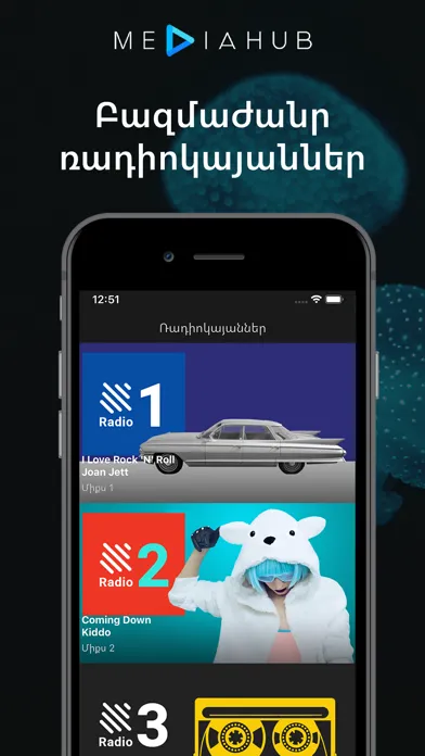Captures d'écran de MediaHub - Armenian radios