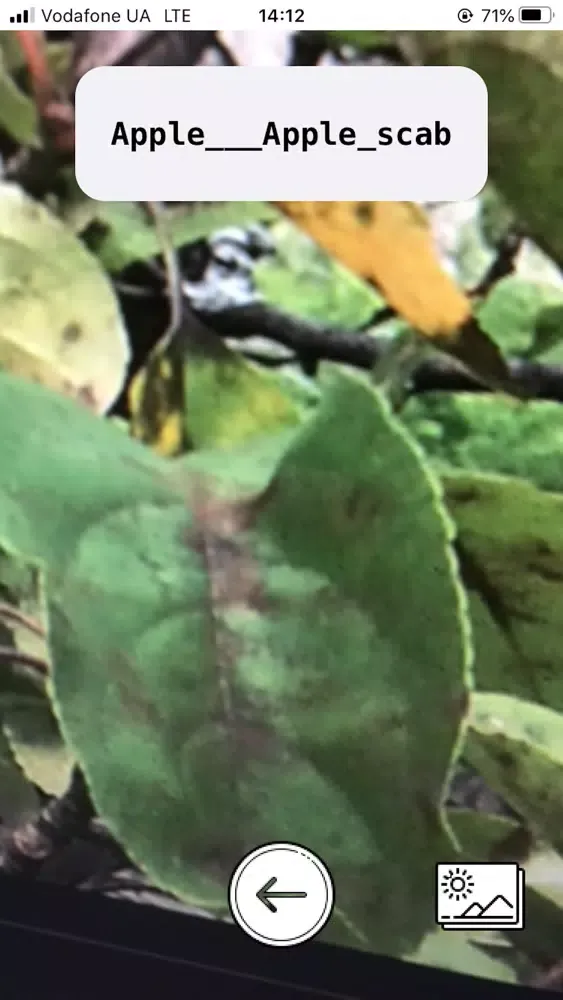 Leafy - Scan Leaf disease应用截图