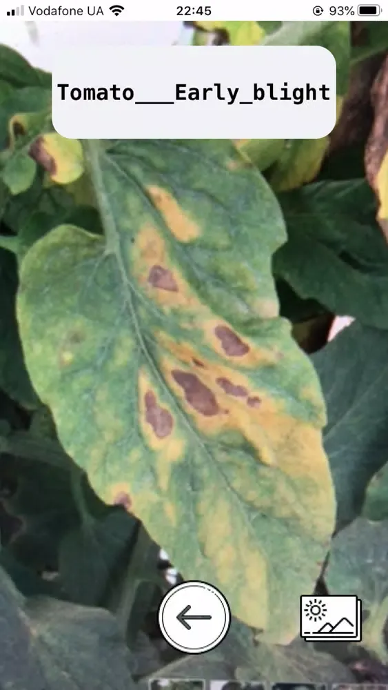 Leafy - Scan Leaf disease应用截图