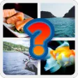 4 Fotos 1 Palabra