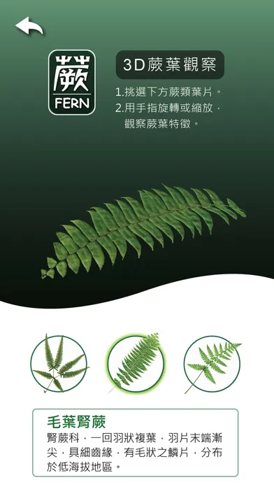 蕨FERN স্ক্রিনশট