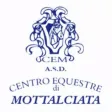 C.E.M.