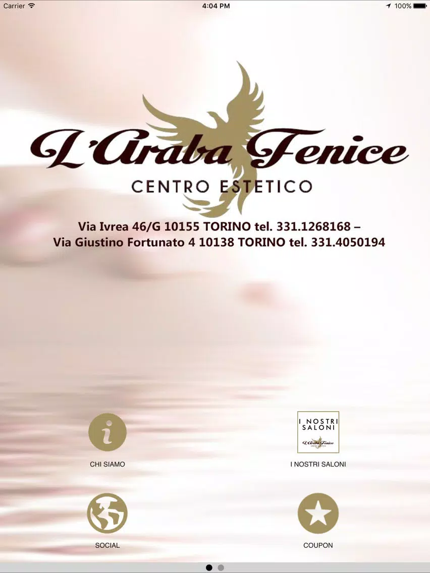 Tangkapan layar Araba Fenice iPad 