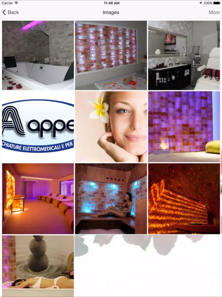 Appel iPad 应用截图
