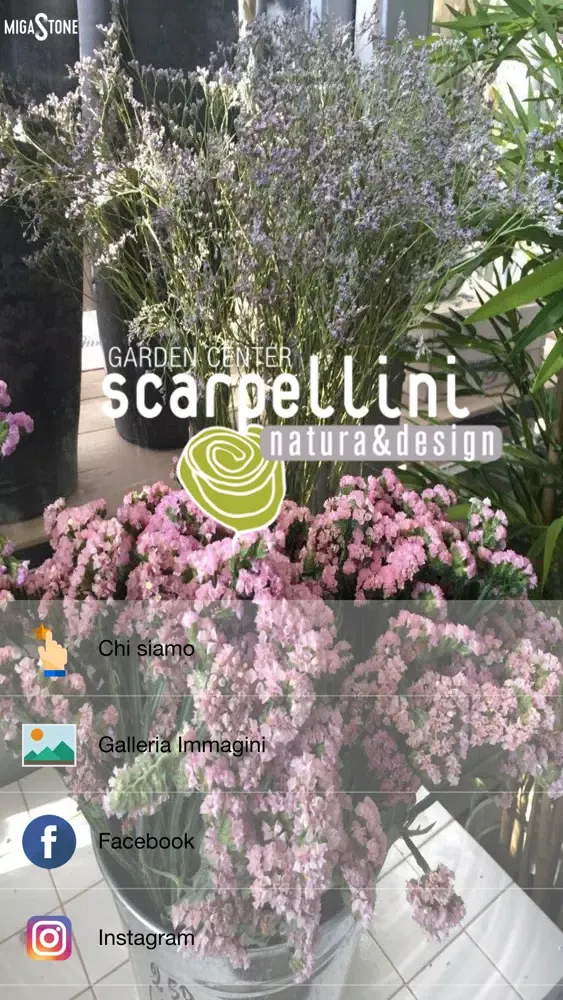 Zrzuty ekranu Scarpellini Garden