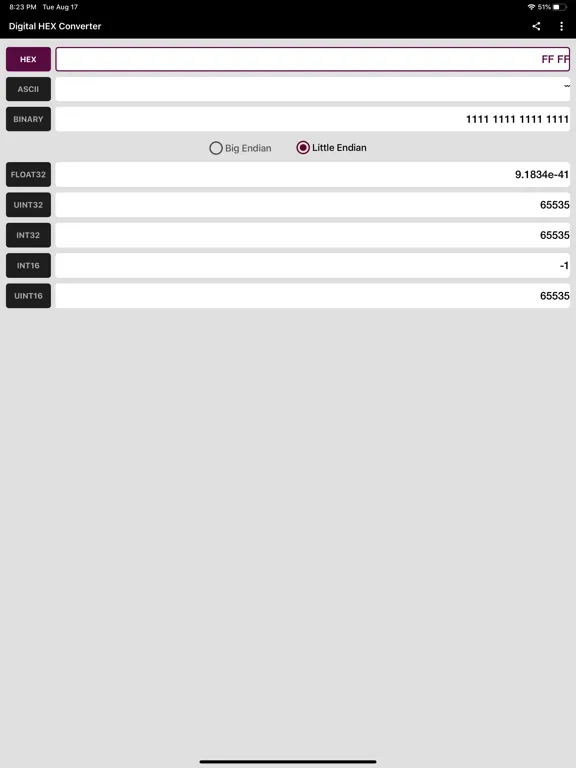 Digital Hex Converter iPad 应用截图