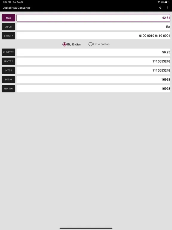 Digital Hex Converter iPad 应用截图