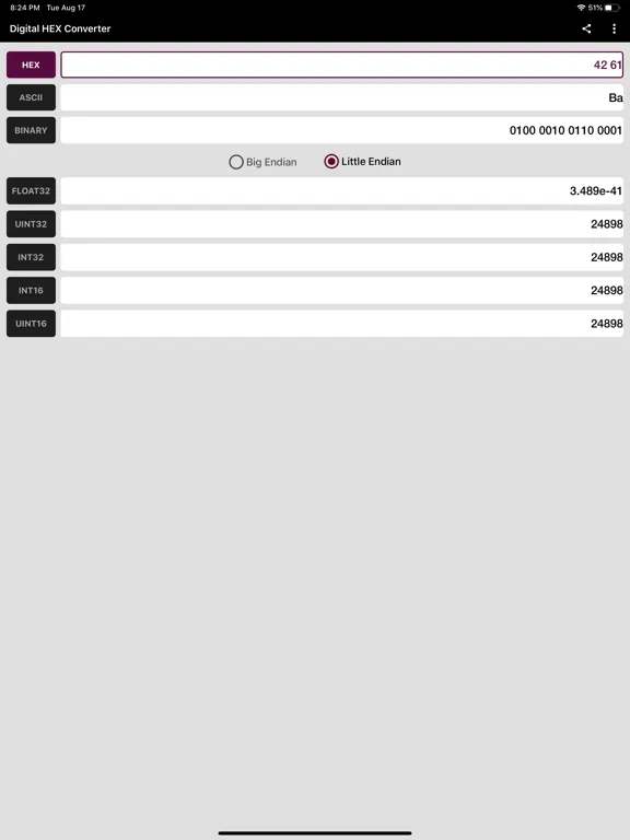 Digital Hex Converter iPad 应用截图