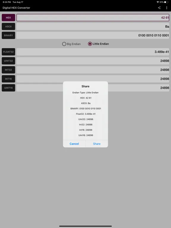 Digital Hex Converter iPad 应用截图