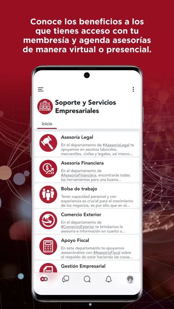 Screenshot di Cámara Connect