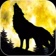 Mighty Wolf Rush Mighty Wolf Rush