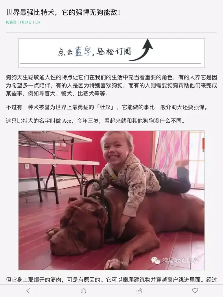 Captures d'écran de 宠物头条 - 狗狗图片 iPad 