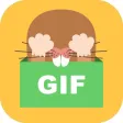 Gif相册 - 真·动图相册 for 微信/微博保存的图动起来