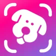 Dog Whistle Camera by DogCam Dog Whistle Camera by DogCam