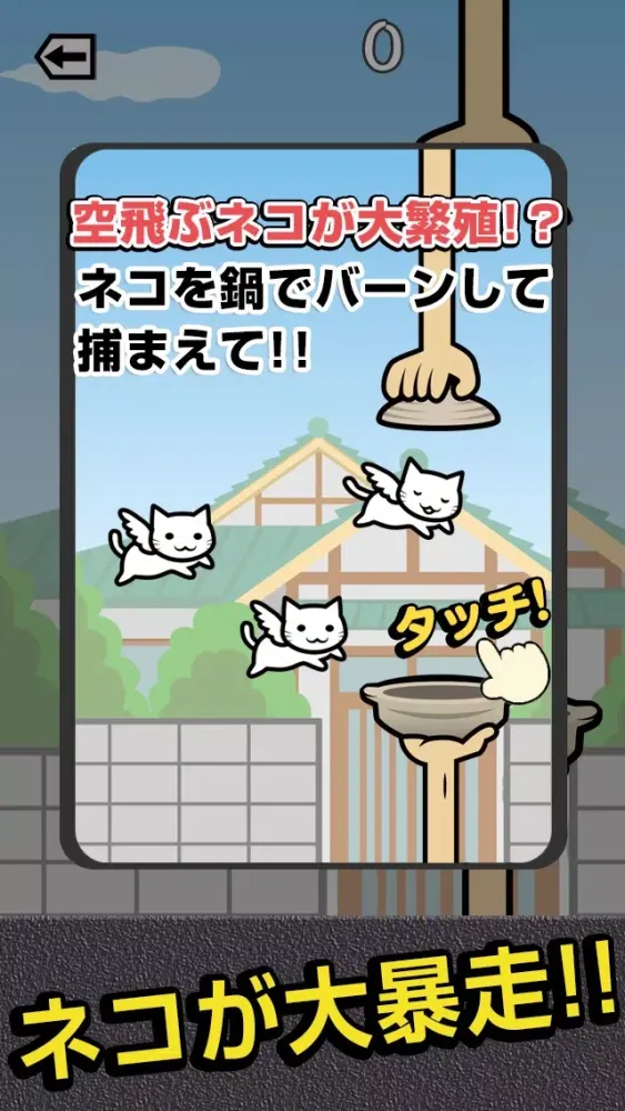 صور ネコを鍋でバーン!!