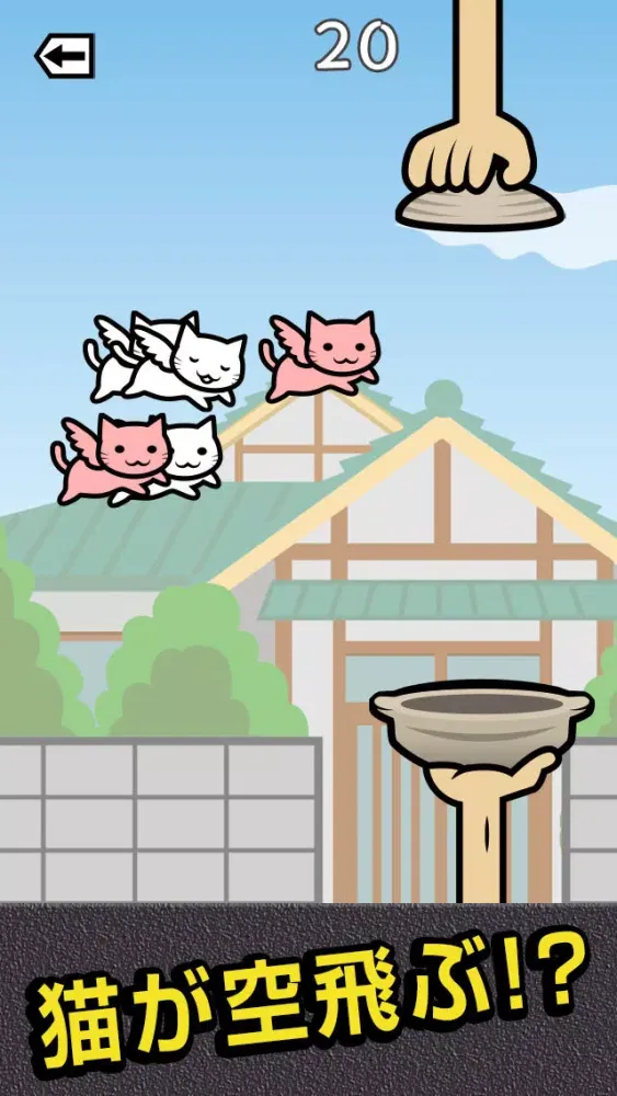 صور ネコを鍋でバーン!!