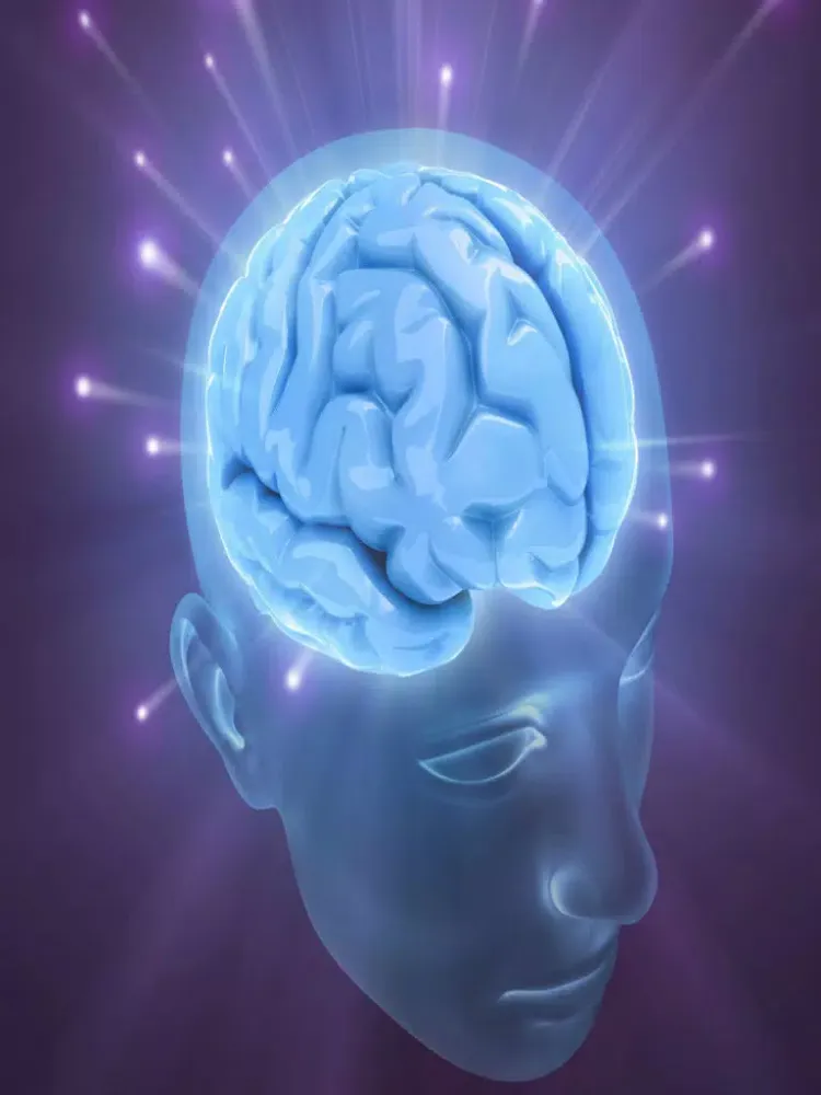 Millionaire Mindset iPad  স্ক্রিনশট