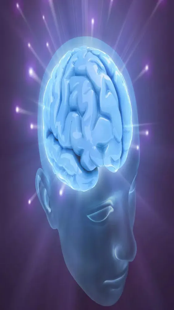 Millionaire Mindset স্ক্রিনশট