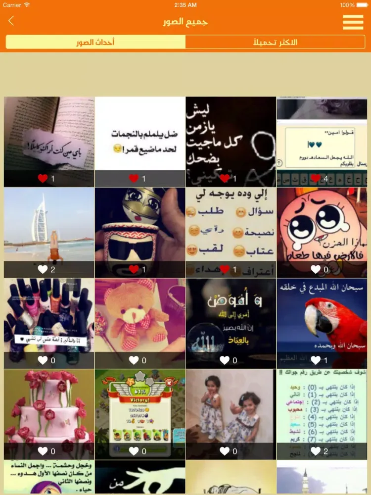 مليون صورة iPad  স্ক্রিনশট