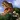 Dinosaur Games 3D - Dino World