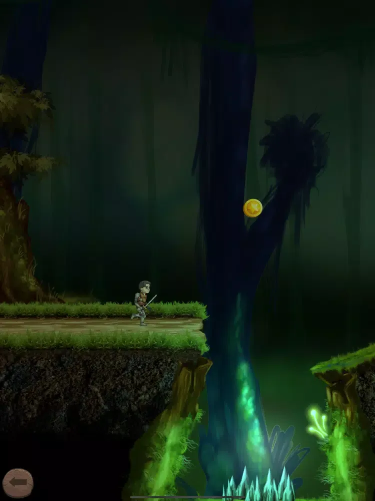 Dark Castle - Knight Adventure iPad  Ekran Görüntüleri