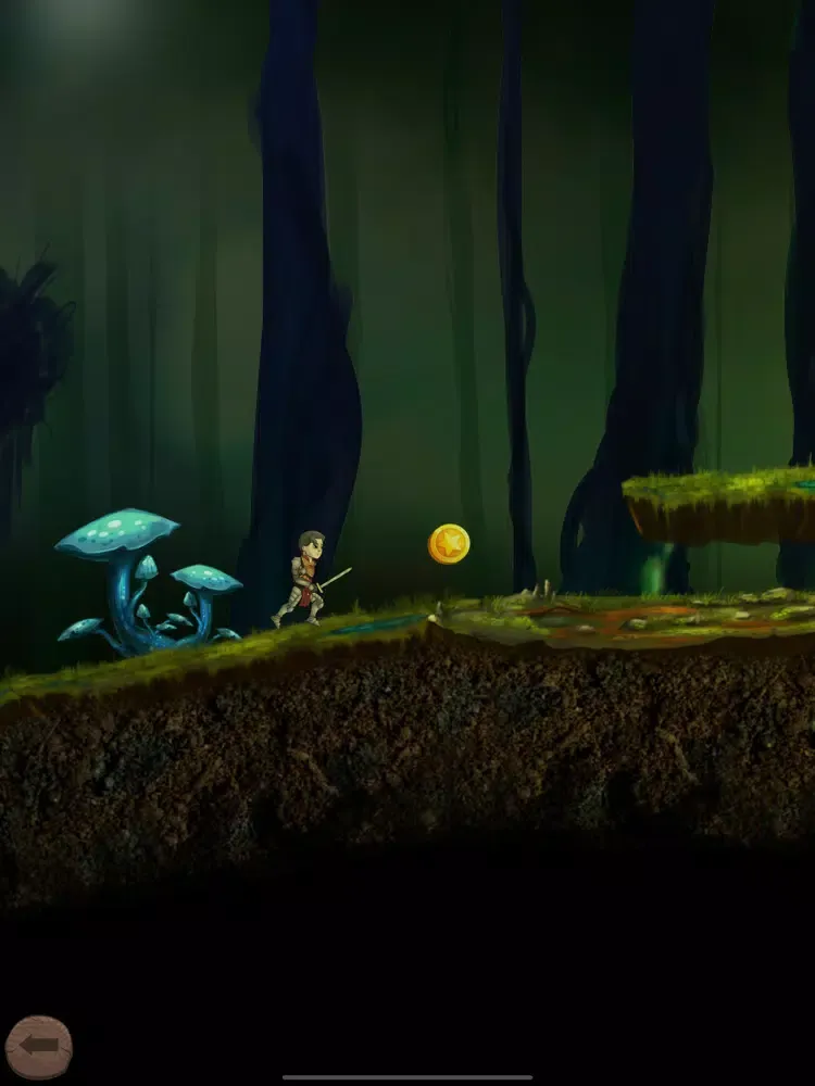 Dark Castle - Knight Adventure iPad  Ekran Görüntüleri