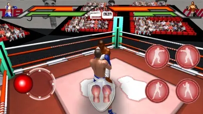 Boxing 3D Fight Game স্ক্রিনশট