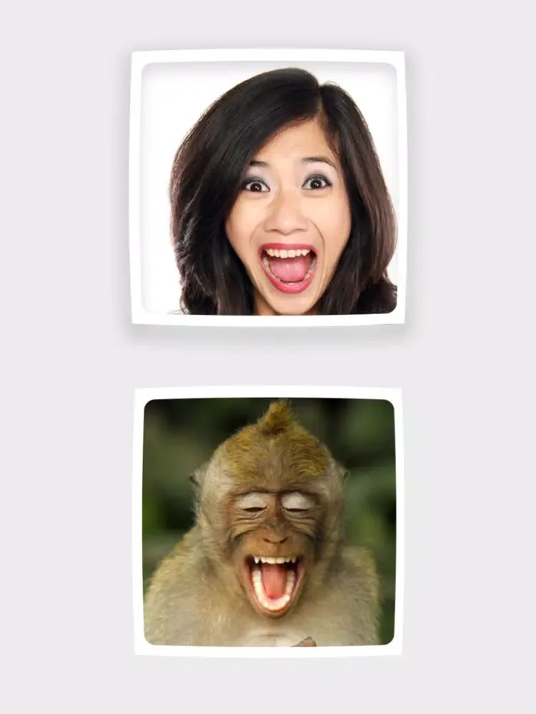 Funny Animals Mimics iPad  スクリーンショット
