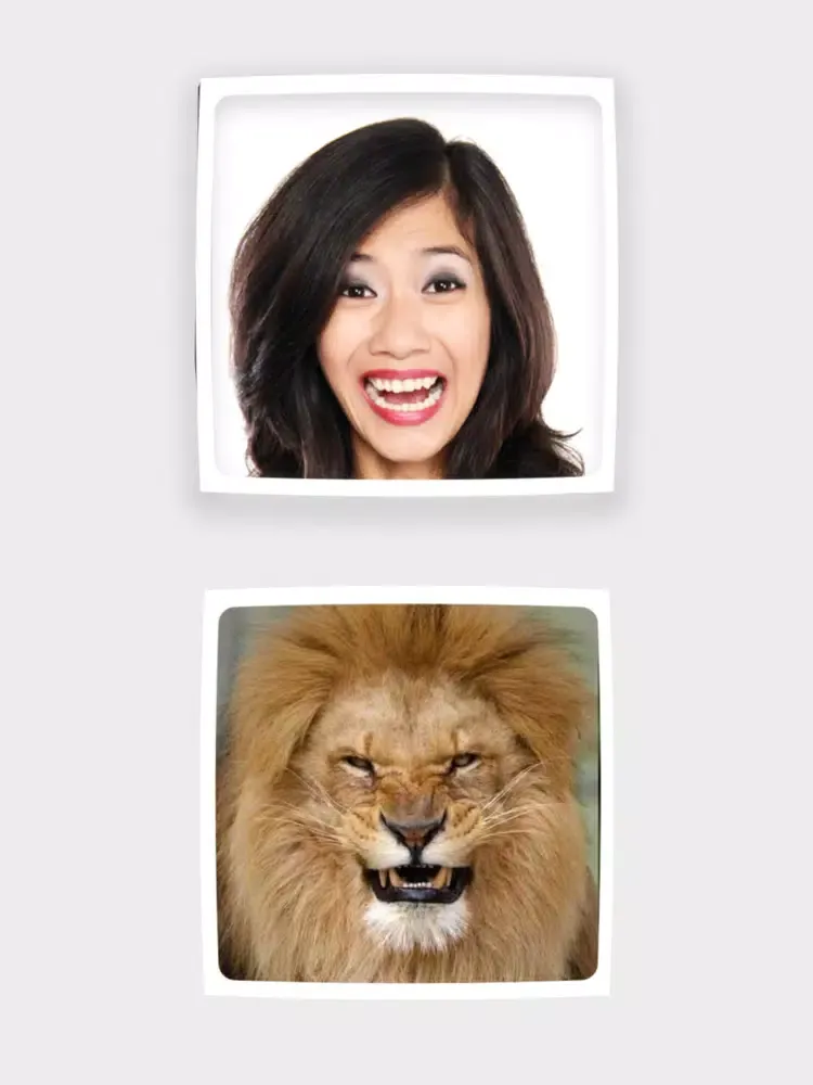 Funny Animals Mimics iPad  スクリーンショット