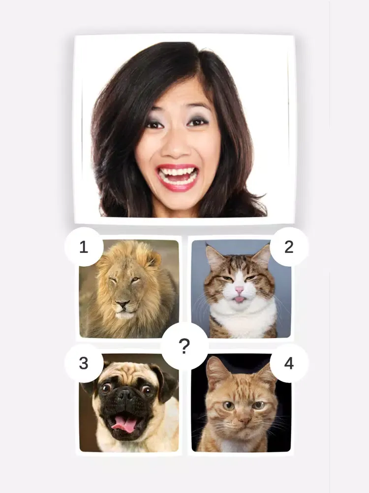 Funny Animals Mimics iPad  スクリーンショット