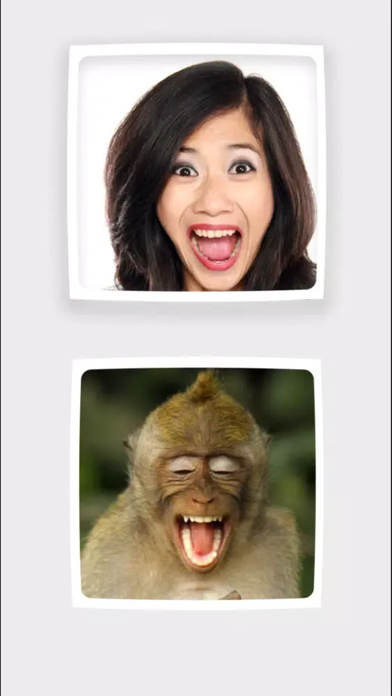 Funny Animals Mimics スクリーンショット