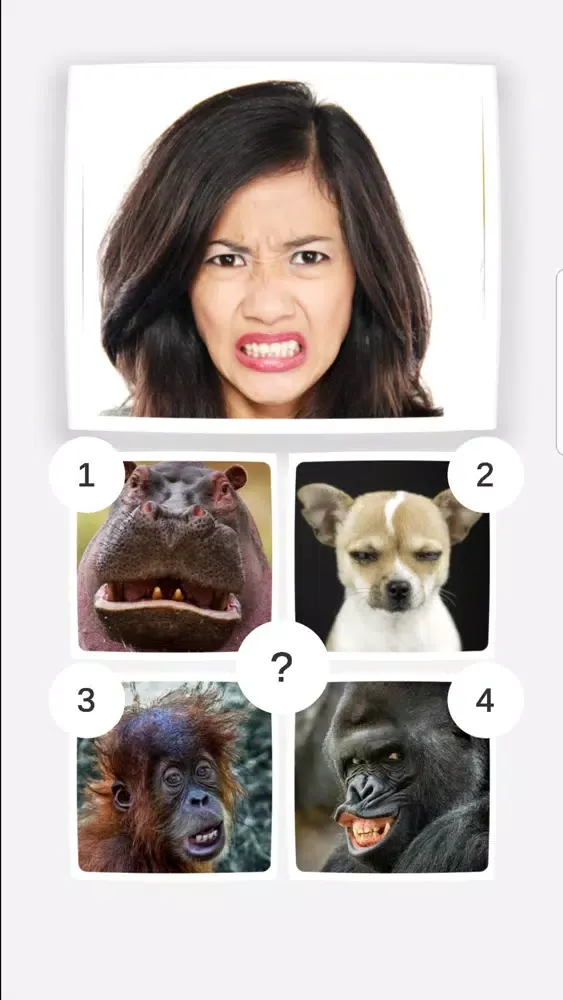 Funny Animals Mimics スクリーンショット