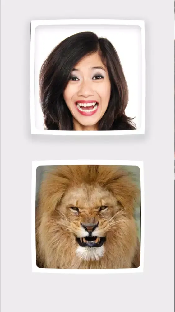 Funny Animals Mimics スクリーンショット
