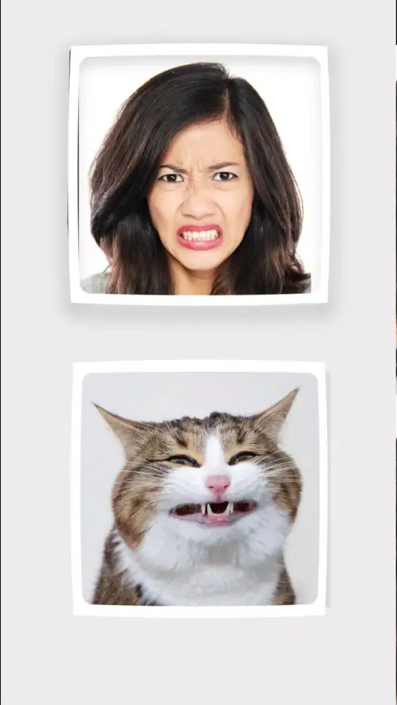 Funny Animals Mimics スクリーンショット