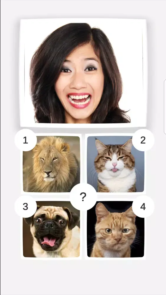 Funny Animals Mimics スクリーンショット