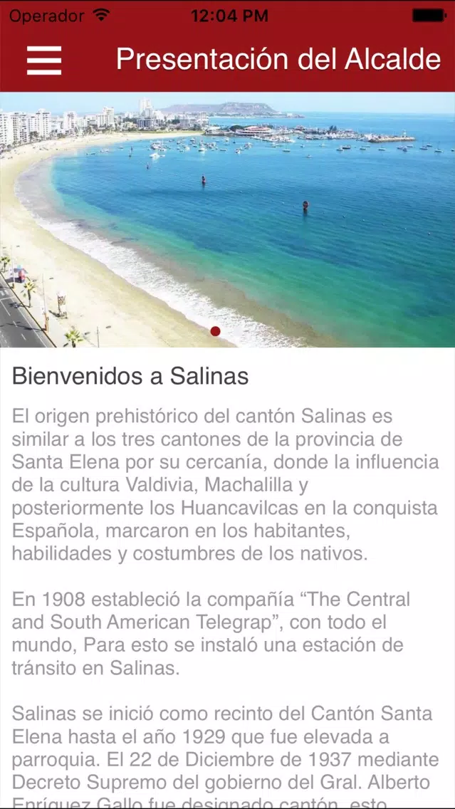 Salinas Municipio App स्क्रीनशॉट