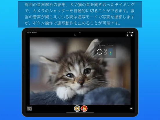 わんにゃんカメラ iPad  Screenshots