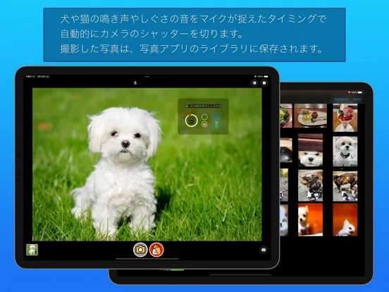 わんにゃんカメラ iPad  Screenshots