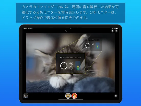 わんにゃんカメラ iPad  Screenshots