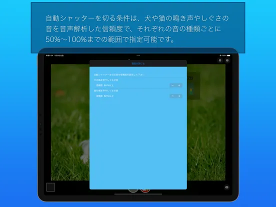 わんにゃんカメラ iPad  Screenshots