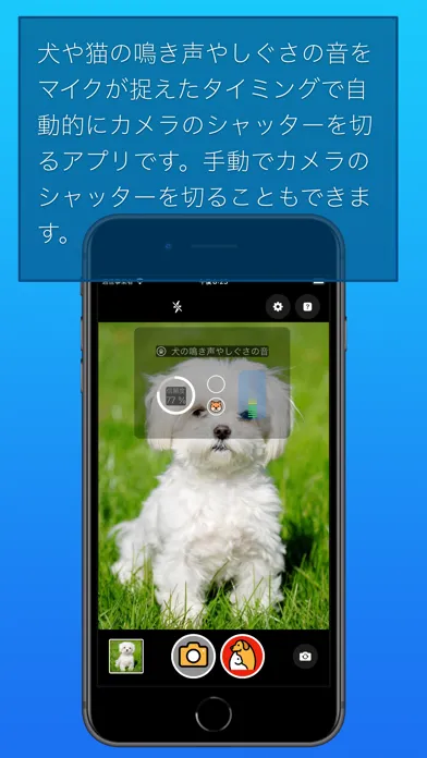 わんにゃんカメラ Screenshots