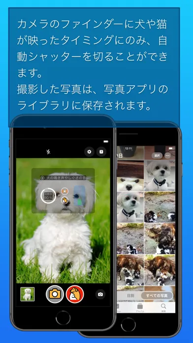 わんにゃんカメラ Screenshots