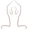 Mind Body Soul Wellness