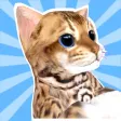 Kitty Cat Care
