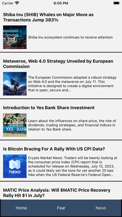 Crypto Bitcoin Bull Run Index Screenshots
