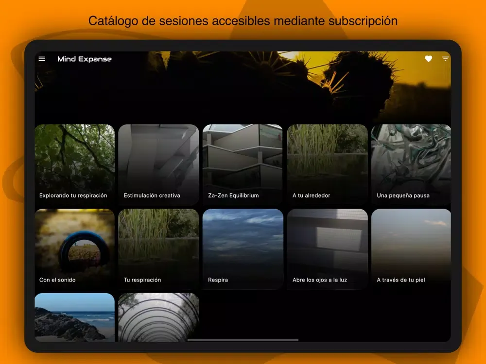 Capturas de tela do Mind Expanse iPad 