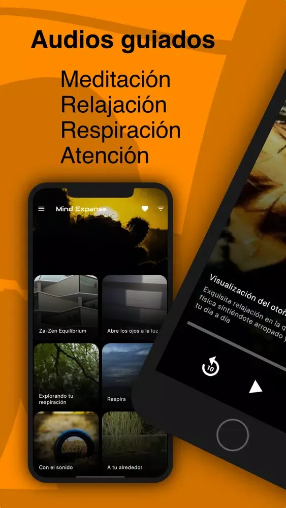 Capturas de tela do Mind Expanse