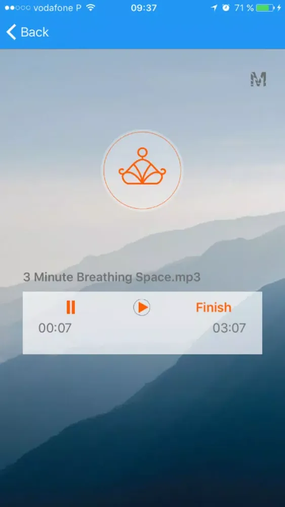 Скриншоты Mindfield : Guided meditation
