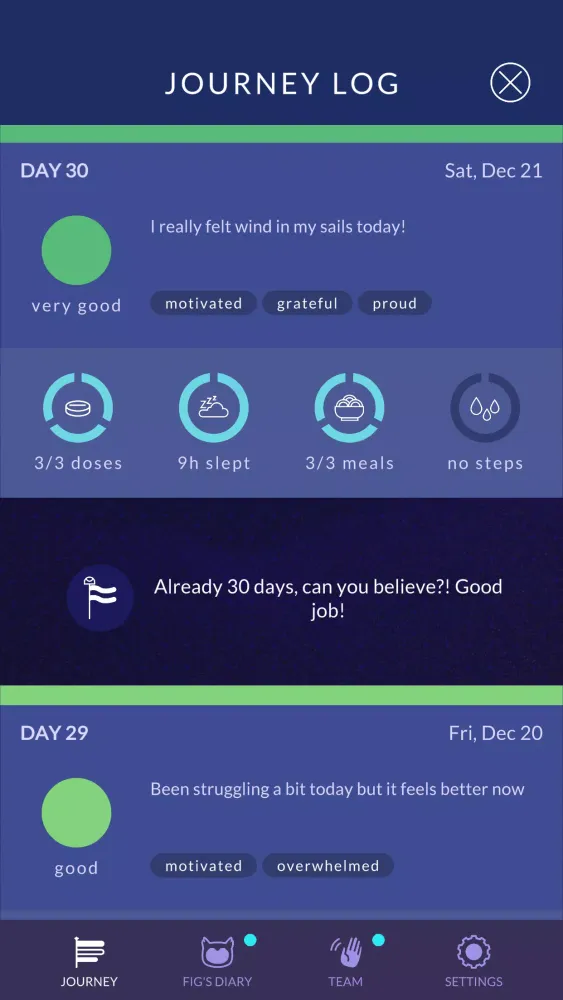 Tangkapan layar Fig: The Game for Depression
